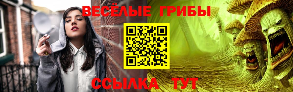 Галлюциногенные грибы Cubensis Грязи