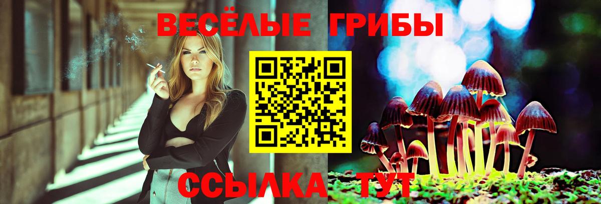 Галлюциногенные грибы ЛСД  где продают   Грязи  Вход с VPN  Галлюциногенные грибы прущие грибы 